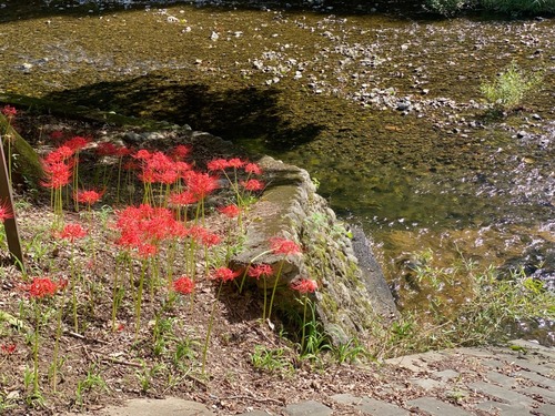 6_IMG_5369.JPG